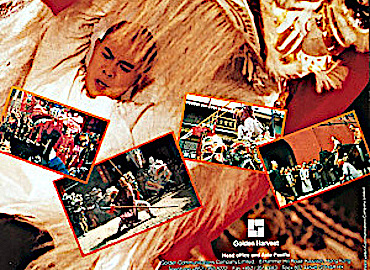 Once Upon a Time in China 3 - Corol Brochure 1