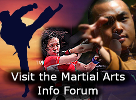 Visit the Martial Arts Info Forum